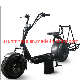 Electric Scooter City Coco Harley with Lithium Battery manufacturer