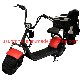 Modern 2021 New Electric Scooter Popular Model with Removable Lithium Battery Disc Brake manufacturer