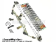 M107 China Wholesale Shooting Sport Equipment Compound Bow manufacturer