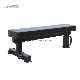 Professional Gym Equipment Fitness Flat Commercial Dumbbell Weights Lifting Training Bench Press manufacturer