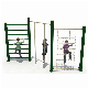 Outdoor Life Fitness Gym Playground, Combination Climbing Equipment manufacturer
