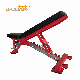 Fitness Equipment Exercise Body Building Equipment Adjustable Bench manufacturer